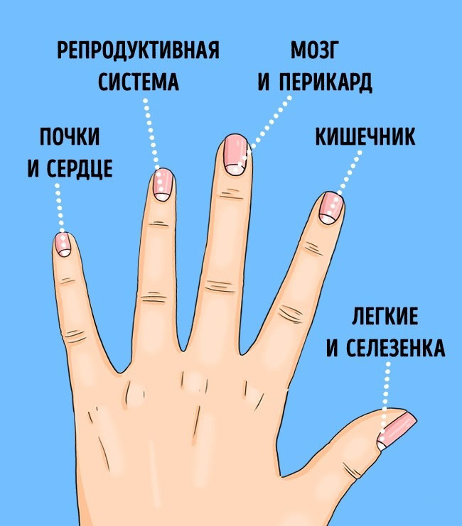 13 проблем со здоровьем, о которых расскажут лунки на ногтях